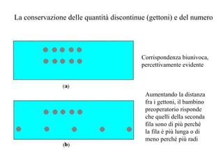 La conservazione delle quantità discontinue (gettoni) e del numero

Corrispondenza biunivoca,
percettivamente evidente

Aumentando la distanza
fra i gettoni, il bambino
preoperatorio risponde
che quelli della seconda
fila sono di più perché
la fila è più lunga o di
meno perché più radi

 