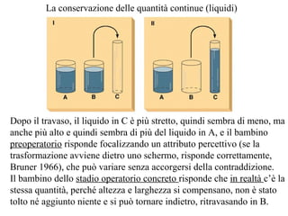 La conservazione delle quantità continue (liquidi)

Dopo il travaso, il liquido in C è più stretto, quindi sembra di meno, ma
anche più alto e quindi sembra di più del liquido in A, e il bambino
preoperatorio risponde focalizzando un attributo percettivo (se la
trasformazione avviene dietro uno schermo, risponde correttamente,
Bruner 1966), che può variare senza accorgersi della contraddizione.
Il bambino dello stadio operatorio concreto risponde che in realtà c’è la
stessa quantità, perché altezza e larghezza si compensano, non è stato
tolto né aggiunto niente e si può tornare indietro, ritravasando in B.

 
