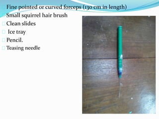 Fine pointed or curved forceps (130 cm in length) 
Small squirrel hair brush 
Clean slides 
Ice tray 
Pencil. 
Teasing needle 
 