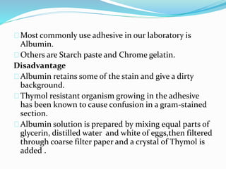Most commonly use adhesive in our laboratory is 
Albumin. 
Others are Starch paste and Chrome gelatin. 
Disadvantage 
Albumin retains some of the stain and give a dirty 
background. 
Thymol resistant organism growing in the adhesive 
has been known to cause confusion in a gram-stained 
section. 
Albumin solution is prepared by mixing equal parts of 
glycerin, distilled water and white of eggs,then filtered 
through coarse filter paper and a crystal of Thymol is 
added . 
 