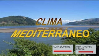 MEDITERRÁNEO
LITORAL
CLIMA SIGUIENTE
 