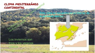 CLIMA MEDITERRÁNEO
CONTINENTAL
Los inviernos son
fríos y los veranos
cálidos
Este clima se encuentra en el interior de
la península ibérica
 