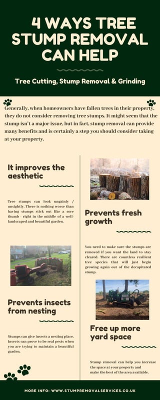 4 ways tree stump removal can help | PDF