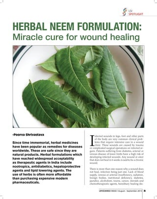 LSI
SPOTLIGHT

HERBAL NEEM FORMULATION:
Miracle cure for wound healing

-Poorva Shrivastava

Since time immemorial, herbal medicines
have been popular as remedies for diseases
worldwide. These are safe since they are
natural products. Herbal formulations which
have reached widespread acceptability
as therapeutic agents in India include
nootropics, antidiabetics, hepatoprotective
agents and lipid lowering agents. The
use of herbs is often more affordable
than purchasing expensive modern
pharmaceuticals.

I

nfected wounds in legs, foot and other parts
of the body are very common clinical problems that require intensive care in a wound
clinic. These wounds are caused by trauma
or complicated surgical operations on infected organs. Patients suffering from diabetes, arterial or
venous disease of lower limbs have a high risk of
developing infected wounds. Any wound or ulcer
that does not heal in 6 weeks is said to be a chronic
wound.
There is more than one reason why a wound does
not heal, infection being just one. Lack of blood
supply, venous or arterial insufﬁciency, radiation,
foreign bodies, nutritional deﬁciency, diabetes,
jaundice, alcoholism, toxins, cancer, steroids and
chemotherapeutic agents, hereditary healing disLIFESCIENCE INDIA | August - September 2013 35

 