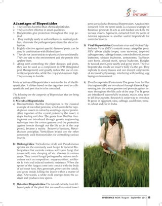 LSI
SPOTLIGHT

Advantages of Biopesticides
1. They are less harmful than chemical pesticides.
2. They are often effective in small quantities.
3. Biopesticides give protection throughout the crop period.
4. They multiply easily in soil and leave no residual problem, eliminate the pathogens/pests from the site of infection.
5. Highly effective against speciﬁc diseases/ pests, can be
used in combination with Biofertilizers.
6. They do not cause toxicity to plants and are eco friendly.
They are safe to the environment and the person who
applies them.
7. Along with controlling the plant diseases and pests,
they can be used as a component in IPM (Integrated
pest Management) and greatly reduce the use of conventional pesticides, while the crop yields remain high.
They are easy to handle.
Mode of action of Biopesticides is not similar for all the Biopesticides. It differs based on the organism used as a Biopesticide and pest that is to be controlled.
The following are the categories of Biopesticides that are being
widely used:
1) Microbial Biopesticides
a) Bioinsecticides: Bacillus thuringiensis is the classical
example of microbial pesticide, which controls the Lepidopteron insects in cotton by secreting a crystal protein.
After ingestion of the crystal protein by the insect, it
stops feeding and dies. The genes from Bacillus thuringiensis are introduced through genetic engineering
technique into the cotton genome and the protection
against insects through out the life cycle of the crop
period, became a reality. Beauveria bassiana, Metarrhizium anisopliae, Verticillium lecanii are the other
commonly used bioinsecticides for controlling various
insects.

pests are called as Botanical Biopesticides. Azadirachtin
extracted from the neem seeds is a classical example of
Botanical pesticide. It acts as anti feedant and kills the
various insects. Sqamocin, extracted from the seeds of
Annona squamosa is another useful biopesticide for
control of insects.
3) Viral Biopesticides: Granulosis virus and Nuclear Polyhedrosis Virus (NPV) controls many caterpillar pests.
NPV affects alfalfa looper, corn earworm, imported
cabbageworm, cabbage looper, cotton bollworm, cotton
leafworm, tobacco budworm, armyworms, European
corn borer, almond moth, spruce budworm, Douglas
ﬁ r tussock moth, pine sawﬂy and gypsy moth. The vial
biopesticides invade an insect's body via the gut. They
replicate in many tissues and can disrupt components
of an insect's physiology, interfering with feeding, egg
laying and movement.
4) Plant Incorporated Protectants: The genes from Bacillus
thuringiensis (Bt) are introduced through Genetic Engineering into the cotton genome and protects against insects throughout the life cycle of the crop. The Bt genes
are introduced successfully in potato, maize, soya bean
to kill insects pests. Research is underway to introduce
Bt genes in egg plant, okra, cabbage, cauliﬂower, tomato, wheat and rice in India.

b) Biofungicides: Trichoderma viride and Pseudomonas
species are the commonly used fungal & bacterial Biofungicides that controls various soil borne fungi that
causes wilt, rots, damping off etc. diseases in various
crops. They control fungal pathogens by various mechanisms such as competition, mycoparasitism, antibiosis & lysis and induced systemic resistance. When the
spores of the fungus come into contact with the body
of an insect host, they germinate, penetrate the cuticle,
and grow inside, killing the insect within a matter of
days. Afterwards, a white mold emerges from the cadaver and produces new spores.
2) Botanical Biopesticides: The natural extracts from different parts of the plant that are used to control insect

LIFESCIENCE INDIA | August - September 2013 52

 