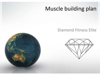 Muscle building plan  Diamond Fitness Elite 
