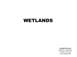 WETLANDS
SUBMITTED BY:
DEEPTI CHAUHAN
II SEM – I YEAR
M.LANDSCAPE
 