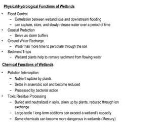 Physical/Hydrological Functions of Wetlands
• Flood Control
– Correlation between wetland loss and downstream flooding
– can capture, store, and slowly release water over a period of time
• Coastal Protection
– Serve as storm buffers
• Ground Water Recharge
– Water has more time to percolate through the soil
• Sediment Traps
– Wetland plants help to remove sediment from flowing water
Chemical Functions of Wetlands
• Pollution Interception
– Nutrient uptake by plants
– Settle in anaerobic soil and become reduced
– Processed by bacterial action
• Toxic Residue Processing
– Buried and neutralized in soils, taken up by plants, reduced through ion
exchange
– Large-scale / long-term additions can exceed a wetland’s capacity
– Some chemicals can become more dangerous in wetlands (Mercury)
 
