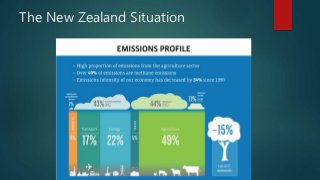 The New Zealand Situation
 
