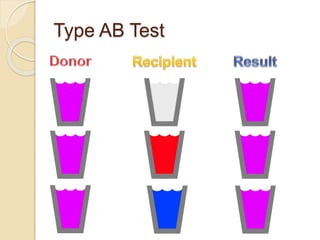 Type AB Test
 