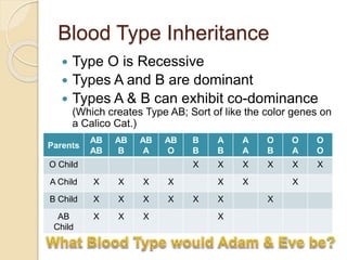 Blood Type Inheritance
 Type O is Recessive
 Types A and B are dominant
 Types A & B can exhibit co-dominance
(Which creates Type AB; Sort of like the color genes on
a Calico Cat.)
Parents
AB
AB
AB
B
AB
A
AB
O
B
B
A
B
A
A
O
B
O
A
O
O
O Child X X X X X X
A Child X X X X X X X
B Child X X X X X X X
AB
Child
X X X X
 