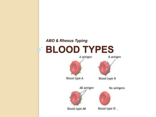 BLOOD TYPES
ABO & Rhesus Typing
 