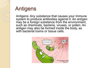 Antigens
Antigens: Any substance that causes your immune
system to produce antibodies against it. An antigen
may be a foreign substance from the environment,
such as chemicals, bacteria, viruses, or pollen. An
antigen may also be formed inside the body, as
with bacterial toxins or tissue cells.
 