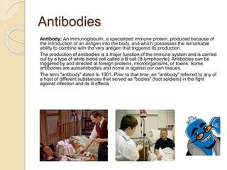 Antibodies
Antibody: An immunoglobulin, a specialized immune protein, produced because of
the introduction of an antigen into the body, and which possesses the remarkable
ability to combine with the very antigen that triggered its production.
The production of antibodies is a major function of the immune system and is carried
out by a type of white blood cell called a B cell (B lymphocyte). Antibodies can be
triggered by and directed at foreign proteins, microorganisms, or toxins. Some
antibodies are autoantibodies and home in against our own tissues.
The term "antibody" dates to 1901. Prior to that time, an "antibody" referred to any of
a host of different substances that served as "bodies" (foot soldiers) in the fight
against infection and its ill effects.
 