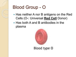 Blood Group - O
 Has neither A nor B antigens on the Red
Cells (O-: Universal Red Cell Donor)
 Has both A and B antibodies in the
plasma
 