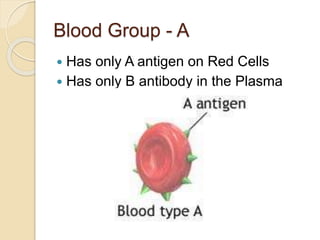 Blood Group - A
 Has only A antigen on Red Cells
 Has only B antibody in the Plasma
 