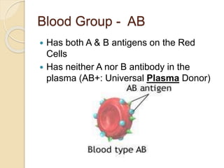 Blood Group - AB
 Has both A & B antigens on the Red
Cells
 Has neither A nor B antibody in the
plasma (AB+: Universal Plasma Donor)
 