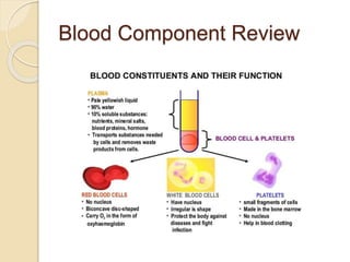 Blood Component Review
 