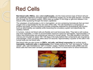Red Cells
Red blood cells (RBCs), also called erythrocytes, are the most common type of blood cell and
the vertebrate organism's principal means of delivering oxygen (O2) to the body tissues—via blood
flow through the circulatory system. RBCs take up oxygen in the lungs or gills and release it into
tissues while squeezing through the body's capillaries.
The cytoplasm of erythrocytes is rich in hemoglobin, an iron-containing biomolecule that can bind
oxygen and is responsible for the red color of the cells. The cell membrane is composed of
proteins and lipids, and this structure provides properties essential for physiological cell function
such as deformability and stability while traversing the circulatory system and specifically the
capillary network.
In humans, mature red blood cells are flexible and oval biconcave disks. They lack a cell nucleus
and most organelles, in order to accommodate maximum space for hemoglobin. Approximately 2.4
million new erythrocytes are produced per second in human adults. The cells develop in the bone
marrow and circulate for about 100–120 days in the body before their components are recycled by
macrophages. Each circulation takes about 20 seconds. Approximately a quarter of the cells in the
human body are red blood cells.
Red blood cells are also known as RBCs, red cells, red blood corpuscles (an archaic term),
haematids, erythroid cells or erythrocytes (from Greek erythros for "red" and kytos for "hollow
vessel", with -cyte translated as "cell" in modern usage). Packed red blood cells (pRBC) are red
blood cells that have been donated, processed, and stored in a blood bank for blood transfusion.
 