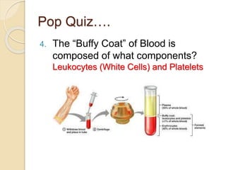 Pop Quiz….
4. The “Buffy Coat” of Blood is
composed of what components?
Leukocytes (White Cells) and Platelets
 