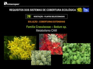 REQUISITOS DOS SISTEMAS DE COBERTURA ECOLÓGICA

                VEGETAÇÃO – PLANTAS SELECCIONADAS

            SOLUÇÃO : COBERTURAS EXTENSIVAS

           Família Crasulaceae – Sedum sp.
                   Metabolismo CAM
 