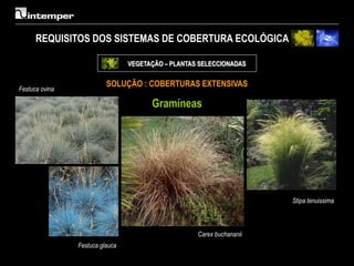 REQUISITOS DOS SISTEMAS DE COBERTURA ECOLÓGICA

                                 VEGETAÇÃO – PLANTAS SELECCIONADAS

                          SOLUÇÃO : COBERTURAS EXTENSIVAS
Festuca ovina

                                       Gramíneas




                                                                       Stipa tenuissima



                                                    Carex buchananii
                Festuca glauca
 