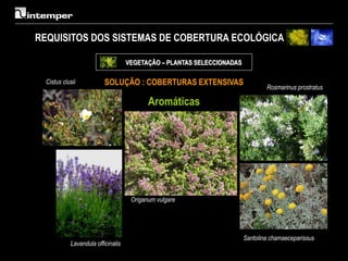 REQUISITOS DOS SISTEMAS DE COBERTURA ECOLÓGICA

                                    VEGETAÇÃO – PLANTAS SELECCIONADAS

  Cistus clusii           SOLUÇÃO : COBERTURAS EXTENSIVAS
                                                                                Rosmarinus prostratus

                                           Aromáticas




                                     Origanum vulgare




                                                                        Santolina chamaeceparissus
            Lavandula officinalis
 