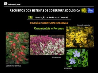 REQUISITOS DOS SISTEMAS DE COBERTURA ECOLÓGICA

                             VEGETAÇÃO – PLANTAS SELECCIONADAS

                         SOLUÇÃO: COBERTURAS INTENSIVAS
                                                                           Coronilla valentina
                            Ornamentais e Perenes




                                              Erica carnea



Calllistemon critrimus
                                                             Vinca minor
 