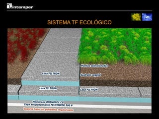 SISTEMA TF ECOLÓGICO
 