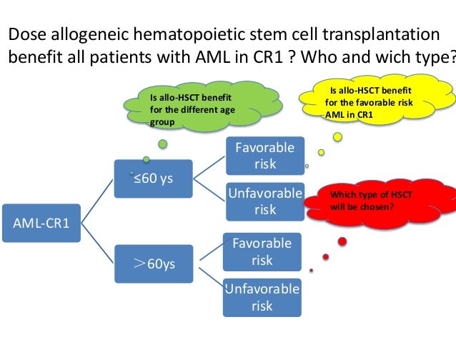allogeneic stem cell transplant precautions allogeneic stem cell transplant precautions