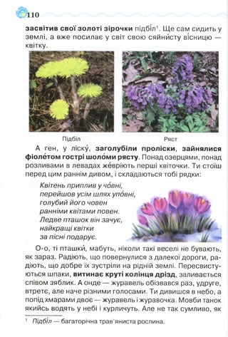 засвітив свої золоті зірочки підбіл1. Ще сам сидить у
землі, а вже посилає у світ свою сяйнйсту вісницю —
квітку.
Підбіл Ряст
А ген, у ліску, заголубіли проліски, зайнялися
фіолетом гострі шоломи рясту. Понад озерцями, понад
розливами в левадах жевріють перші квіточки. Ти стоїш
перед цим раннім дивом, і складаються тобі рядки:
Квітень приплив у човні,
перейшов усім шлях уповні,
голубий його човен
ранніми квітами повен.
Ледве пташок він зачує,
найкращі квітки
за пісні подарує.
О-о, ті пташки, мабуть, ніколи такі веселі не бувають,
як зараз. Радіють, що повернулися з далекої дороги, ра­
діють, що добре їх зустріли на рідній землі. Пересвисту-
ються шпаки, витинає круті колінця дрізд, заливається
співом зяблик. А онде — журавель обізвався раз, удруге,
втретє, але наче різними голосами. Ти дивишся в небо, а
попід хмарами двоє — журавель іжуравочка. Мовби танок
якийсь водять у небі і курличуть. Але не так сумливо, як
1 Підбіл — багаторічна трав’яниста рослина.
 