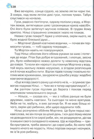 Вже вечоріло, сонце сідало, на землю лягли чорні тіні.
З озера, над яким летіли дикі гуси, поплив туман. Табун
спустився на ночівлю.
Гуси, радісно ґелґочучи, одразу полізли у воду, а Мор-
тен лежав, витягнувши шию і розкинувши крила навсібіч.
Очі його були затягнуті мутною плівкою. В грудях йому
хрипіло. Нільс страшенно злякався і мало не плакав.
Невже гусак помре?! Адже у хлопчика, окрім нього, не
було жодної близької душі...
— Мортене! Давай ковтнемо водички, — почав він тер­
мосити гусака, — тобі одразу покращає...
Та Мортен навіть не поворухнувся.
Тоді Нільс обхопив його обома руками за шию і потяг­
нув до води. Птах був добре вгодований, і хлопцю, звісна
річ, було неймовірно важко долати ту невелику відстань
до озера. Та коли він нарешті зіштовхнув Мортена у воду,
той якусь хвильку лежав нерухомо, а згодом розплющив
очі й почав жадібно пити. Відтак підвів голову і повільно по­
плив межі крижинами, занурюючи дзьоба у воду іжадібно
ковтаючи водорості.
«Оце ж я від самого ранку ще нічого не їв, — з сумною три­
вогою подумав Нільс. — Чим же я тепер харчуватимуся?..»
Аж раптом гусак підплив до берега і поклав перед
хлопчиком чималенького окунця.
— Нільсе, — сказав він, — ми з тобою раніше не були
друзями, навіть навпаки. Та сьогодні ти мене врятував.
Якби не ти, мабуть, я вже загинув би. Я не маю більш ні­
чого, окрім цієї рибинки, аби щиро віддячити тобі.
Нільс розчулено обійняв Мортена. Це були перші лас­
каві слова, які він почув за цілий день, і хоч досі йому ніколи
не доводилося їсти сирої риби, він, не роздумуючи, дістав
із кишені свого складаного ножика. Що ж поробиш — тре­
ба куштувати, треба звикати і до сирої риби, бо ніхто тобі
іншого нічого не подасть. Нільс порізав окунця і незчувся,
як із’їв усю рибинку.
 