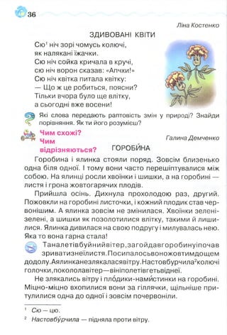 Ліна Костенко
ЗДИВОВАНІ КВІТИ
Сю1ніч зорі чомусь колючі,
як налякані їжачки.
Сю ніч сойка кричала в кручі,
сю ніч ворон сказав: «Апчхи!»
Сю ніч квітка питала квітку:
— Що ж це робиться, поясни?
Тільки вчора було ще влітку,
а сьогодні вже восени! Ж™ 0
Які слова передають раптовість змін у природі? Знайди
відрізняю ться? ГОРОБИНА
Горобина і ялинка стояли поряд. Зовсім близенько
одна біля одної. І тому вони часто перешіптувалися між
собою. На ялинці росли хвоїнки і шишки, а на горобині —
листя і грона жовтогарячих плодів.
Прийшла осінь. Дихнула прохолодою раз, другий.
Пожовкли на горобині листочки, і кожний плодик став чер­
вонішим. А ялинка зовсім не змінилася. Хвоїнки зелені-
зелені, а шишки як позолотилися влітку, такими й лиши­
лися. Ялинка дивилася на свою подругу і милувалась нею.
Яка то вона гарна стала!
Таналетівбуйнийвітер,загойдавгоробинуіпочав
- зриватизнеїлистя.Посипалосьвоножовтимдощем
додолу.Аялинканезлякаласявітру.Настовбурчила2колючі
голочки,покололавітер-—вініполетівгетьвіднеї.
Не злякались вітру і плодики-намистинки на горобині.
Міцно-міцно вхопилися вони за гіллячки, щільніше при­
тулилися одна до одної і зовсім почервоніли.
=& порівняння. Як ти його розумієш?
схожі?
Галина Демченко
1 Сю — цю.
2 Настовбурчила — підняла проти вітру.
 