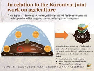 In relation to the Koronivia joint
work on agriculture
Contribution to generation of information
and sustainable management policies on
carbon-rich soils through global assessment
of black soils in the framework of the
INBS.
 Agriculture and Food security
 Most degraded carbon-rich soils
 Mitigating climate change
 On Topics 2(c) Improved soil carbon, soil health and soil fertility under grassland
and cropland as well as integrated systems, including water management.
 