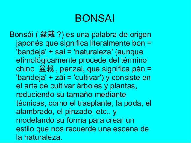 Aprendiendo sobre el Bonsai