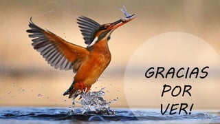GRACIAS
POR
VER!
 