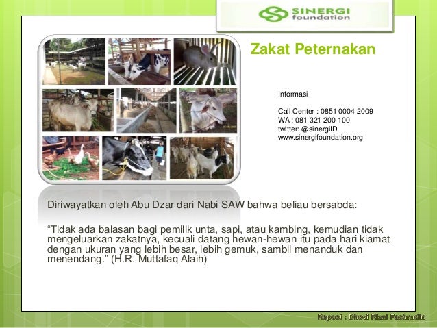 Zakat Fitrah, Bayar Zakat di Sinergi Foundation