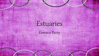 Estuaries
Essence Perry
 