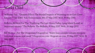 Works Cited
Williams, Ted . "Domino Effect: The Myriad Impacts of Warming on an East Coast
Estuary." Yale E360. Yale Environment 360, 17 May 2017. Web. 19 May 2017.
Bulletin, Bill Reid For The. "Exploring The Last Green Valley: Long Island Sound an
important estuary." The Bulletin. The Bulletin, 19 May 2017. Web. 20 May 2017.
Bill Monroe | For The Oregonian/OregonLive. "States may consider estuary sturgeon
retention seasons next week." OregonLive.com. OregonLive.com, 19 May 2017. Web. 21
May 2017.
 