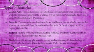 Types of Estuaries
● Coastal Plain: The most common type of estuary, they are formed when the rising sea
level after the ice age drowned the low lands or river valleys. Ex. Chesapeake Bay in MD of
Columbia River Estuary in Washington.
● Bar-built: The accumulation of sediment forms sand bars or barrier islands. Lagoons that
separate barrier islands from the mainland are bar built. Ex. Pamlico Sound in NC or
Laguna Madre in TX.
● Tectonic: Faulting or folding of rocks creates a restricted area that a river flows into. Ex.
San Francisco Bay formed by San Andreas Fault.
● Fjord (fee-yord): Melting glaciers raise the sea level cutting deep U-shaped valleys on
coasts. Ex. On the coasts of New Zealand, Alaska, Chile, Norway, and Canada.
 