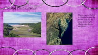 Coastal Plain Estuary
The picture to the left
is Coos Estuary on the
West Coast and the
image to the right
Chesapeake Bay in
Maryland.
 