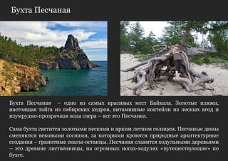 Бухта Песчаная




Бухта Песчаная – одно из самых красивых мест Байкала. Золотые пляжи,
настоящая тайга из сибирских кедров, витаминные коктейли из лесных ягод и
изумрудно-прозрачная вода озера – все это Песчанка.

Сама бухта светится золотыми песками и ярким летним солнцем. Песчаные дюны
сменяются вековыми соснами, за которыми кроются природные архитектурные
создания – гранитные скалы-останцы. Песчаная славится ходульными деревьями
– это древние лиственницы, на огромных ногах-ходулях «путешествующие» по
бухте.
 