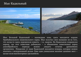 Мыс Кадильный




Мыс Большой Кадильный – заповедная зона, здесь находится кордон
Прибайкальского национального парка. Мыс получил свое название из-за того,
что когда-то здесь пережигали известь – т.е. кадили. На Кадильном сохранился
карьер, где этот известняк добывался – в обнажениях известковых пород
докембрийского      периода    можно       увидеть     остатки   древнейших
организмов. Невдалеке от пади Кадильной находятся пещеры, которые можно
посетить с экскурсионной целью. Еще одно уникальное явление здешних мест –
целые поля высокогорных эдельвейсов.
 