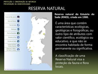 PROTECÇÃO E CONSERVAÇÃO DA NATUREZA
PRESERVAÇÃO DA BIODIVERSIDADE
RESERVA NATURAL
In: http://www.icnf.pt/portal/naturaclas/ap/nac/res-natur
É uma área que contém
características ecológicas,
geológicas e fisiográficas, ou
outro tipo de atributos com
valor científico, ecológico ou
educativo, e que não se
encontra habitada de forma
permanente ou significativa.
A classificação de uma
Reserva Natural visa a
proteção da fauna e flora
locais.
Reserva natural do Estuário do
Sado (RNES), criada em 1980.
 