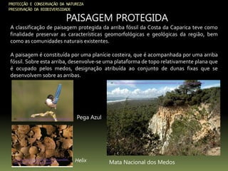 PROTECÇÃO E CONSERVAÇÃO DA NATUREZA
PRESERVAÇÃO DA BIODIVERSIDADE
PAISAGEM PROTEGIDA
A classificação de paisagem protegida da arriba fóssil da Costa da Caparica teve como
finalidade preservar as características geomorfológicas e geológicas da região, bem
como as comunidades naturais existentes.
A paisagem é constituída por uma planície costeira, que é acompanhada por uma arriba
fóssil. Sobre esta arriba, desenvolve-se uma plataforma de topo relativamente plana que
é ocupado pelos medos, designação atribuída ao conjunto de dunas fixas que se
desenvolvem sobre as arribas.
In: http://ipt.olhares.com/data/big/485/4856388.jpg Pega Azul
In: ttp://www.criancaenatureza.pt/xFiles/scContentDeployer_pt/images/image209.gif
Mata Nacional dos Medos
In:
http://campus.fct.unl.pt/afr/ipa_9900/grupo0040_
natureza/arriba_ficheiros/image006.jpg
Helix
 