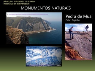 In: http://3.bp.blogspot.com/_H7Z3Pxe4OaU/SFT3-1E1p_I/AAAAAAAACsU/aK-
H4tbMFPQ/s400/Pedra_da_Mua_%28Mateus%292.jpg
In: http://vigilantesnatureza.paginas.sapo.pt/pedramua.jpg
PROTECÇÃO E CONSERVAÇÃO DA NATUREZA
PRESERVAÇÃO DA BIODIVERSIDADE
MONUMENTOS NATURAIS
In: http://www.cm-sesimbra.pt/museu/wp-content/uploads/2012/03/caboespichel1.jpg
Pedra de Mua
Cabo Espichel
 