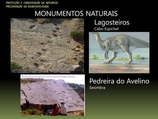 PROTECÇÃO E CONSERVAÇÃO DA NATUREZA
PRESERVAÇÃO DA BIODIVERSIDADE
MONUMENTOS NATURAIS
Lagosteiros
Cabo Espichel
In:
http://www.colegiovascodagama.pt/ciencias3c/images/facebook_photo_download_4452
48714580.jpg
In: http://bg11a.blogspot.pt/2011/06/lagosteiros-e-praia-da-mua-no-
cabo.html
Pedreira do Avelino
Sesimbra
In: http://oficina.cienciaviva.pt/~pw011/jazidas/zambujal6.coppy.jpg
 