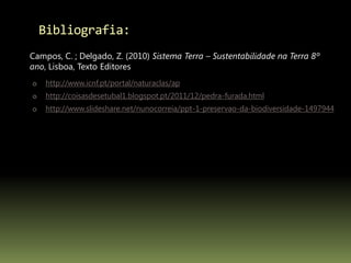 Bibliografia:
o http://www.icnf.pt/portal/naturaclas/ap
o http://coisasdesetubal1.blogspot.pt/2011/12/pedra-furada.html
o http://www.slideshare.net/nunocorreia/ppt-1-preservao-da-biodiversidade-1497944
Campos, C. ; Delgado, Z. (2010) Sistema Terra – Sustentabilidade na Terra 8º
ano, Lisboa, Texto Editores
 