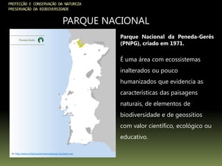 PROTECÇÃO E CONSERVAÇÃO DA NATUREZA
PRESERVAÇÃO DA BIODIVERSIDADE
PARQUE NACIONAL
In: http://www.icnf.pt/portal/naturaclas/ap/nac/parq-nac
Parque Nacional da Peneda-Gerês
(PNPG), criado em 1971.
É uma área com ecossistemas
inalterados ou pouco
humanizados que evidencia as
características das paisagens
naturais, de elementos de
biodiversidade e de geossítios
com valor científico, ecológico ou
educativo.
 
