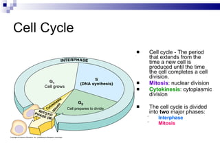 5.1 Mitosis | PPT